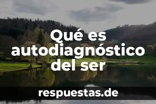 Sistema de autodiagnóstico auto que es 4 Qué es autodiagnóstico del ser