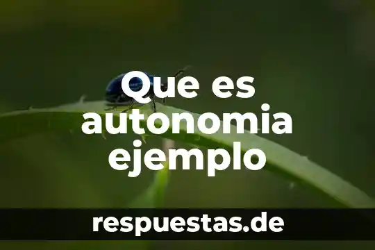 Qué es capicúa número 5 Que es autonomia ejemplo