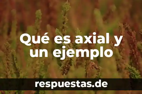 Que es reglamentos mexico 3 Qué es axial y un ejemplo