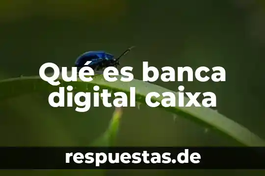 Voltimetro digital que es 6 Qué es banca digital caixa