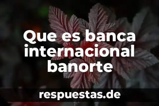 Que es banca internacional banorte