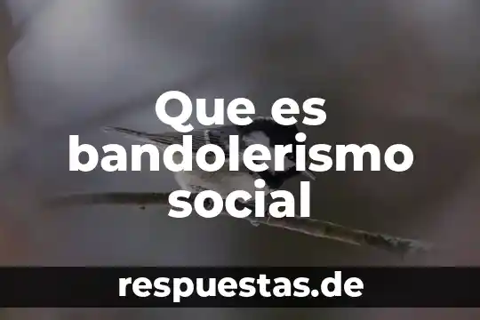Que es un movimiento social segun el materialismo historico 3 Que es bandolerismo social