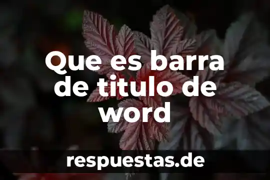 Qué es una doble barra de campos 4 Que es barra de titulo de word