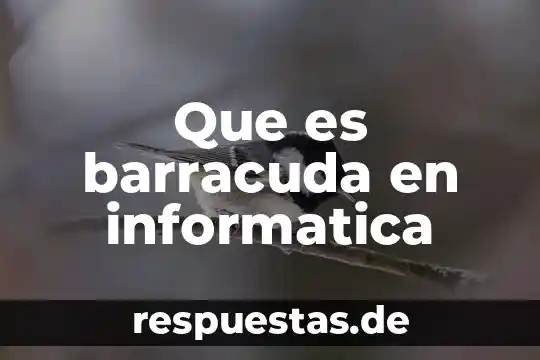 Que significa o que es un http en informatica 4 Que es barracuda en informatica