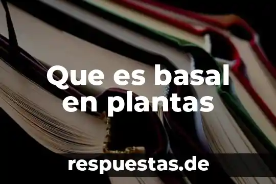Nombres de plantas medicinales y que es lo que cura 6 Que es basal en plantas