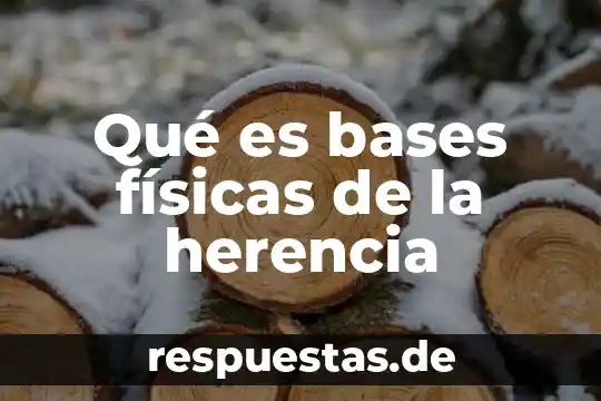 Definiciones de lo que es las bases de datos 4 Qué es bases físicas de la herencia