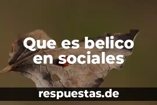 Que es mejor ciencias politicas y proyectos sociales o desarrollo comunitario 5 Que es belico en sociales