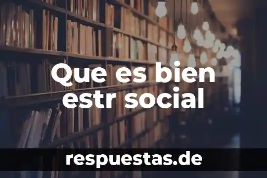 Que es bien estr social
