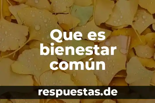 Que es bienestar común