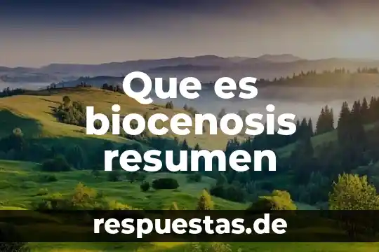 Qué es la textura en el arte resumen 7 Que es biocenosis resumen