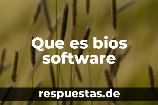 Qué es sismor software 3 Que es bios software
