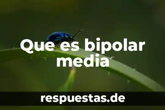 Que es la media en historia libros 5 Que es bipolar media
