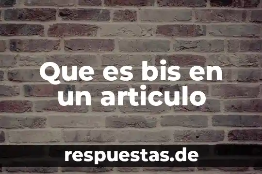 Qué es un artículo concepto 6 Que es bis en un articulo