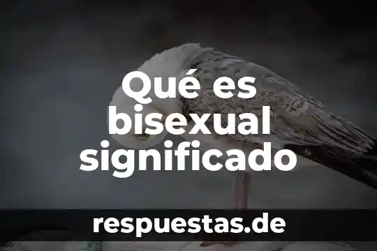 Que es paulatinamente significado 4 Qué es bisexual significado
