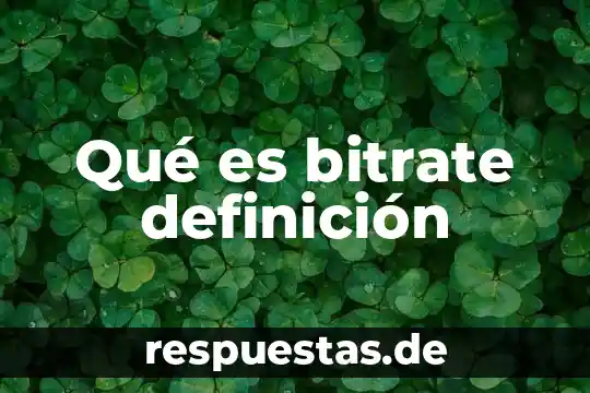 Que es el estambre de la flor definicion 6 Qué es bitrate definición