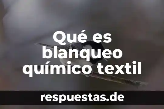 Que es la industria textil de q probiene 4 Qué es blanqueo químico textil
