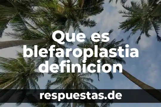 Que es el estambre de la flor definicion 4 Que es blefaroplastia definicion