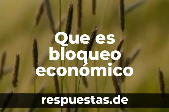 Que es disciplina en administracion concepto 3 Que es bloqueo econ贸mico