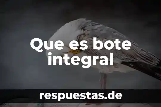 Qué es el razonamiento común 3 Que es bote integral
