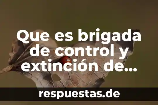 Qué es un hidrante de incendios industriales tipo gabinete 8 Que es brigada de control y extinción de incendios