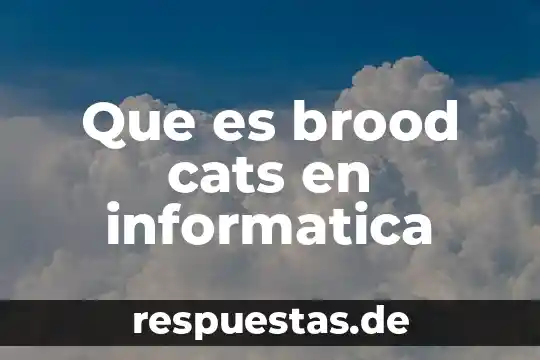 ¿Qué es la informática jurídica ehcénique? 3 Que es brood cats en informatica