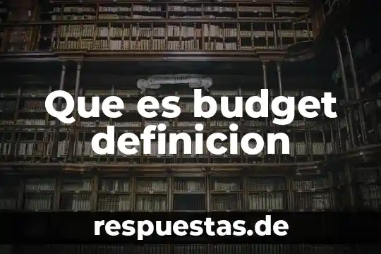 Que es un agonista definicion 8 Que es budget definicion