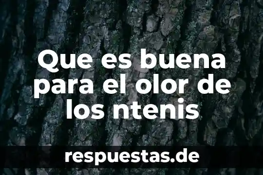 Por que es buena la dieta flexitariana 6 Que es buena para el olor de los ntenis