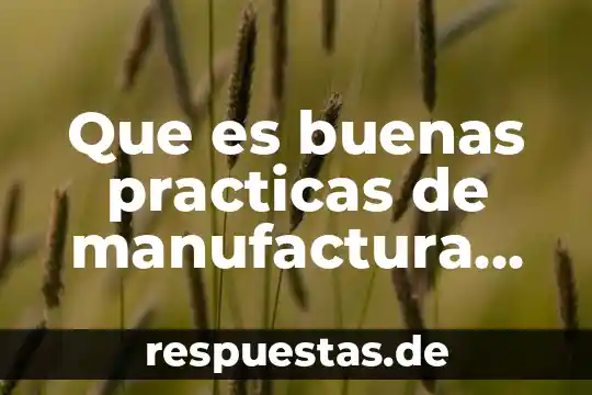 Plan de trabajo de practicas profesionales que es 4 Que es buenas practicas de manufactura en alimentos ptt