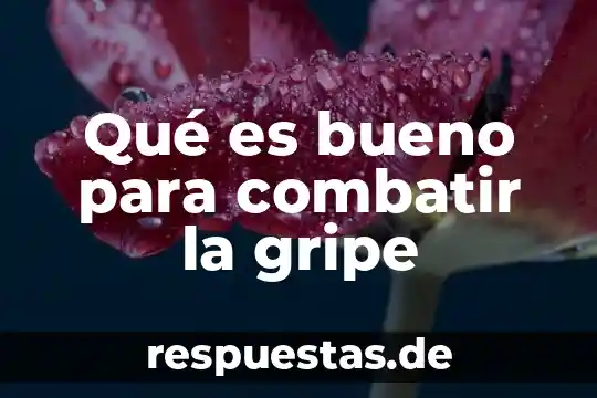 Que es bueno para mi cachorro con congestión y gripe 5 Qué es bueno para combatir la gripe