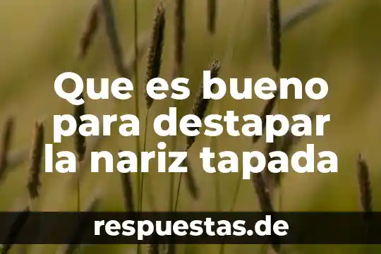 Que es nariz dibujo 4 Que es bueno para destapar la nariz tapada
