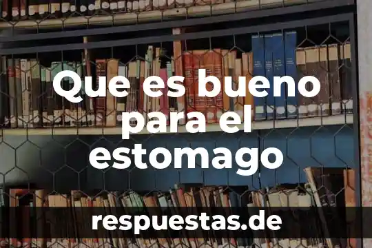 Que es el significado de estomago 3 Que es bueno para el estomago