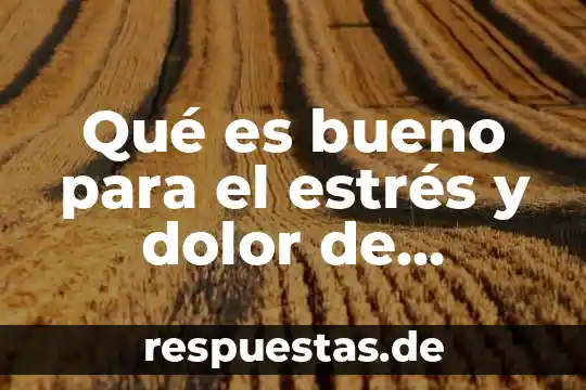 Que es bueno tomar cuando hago ejercicio en el gym 3 Qué es bueno para el estrés y dolor de cabeza