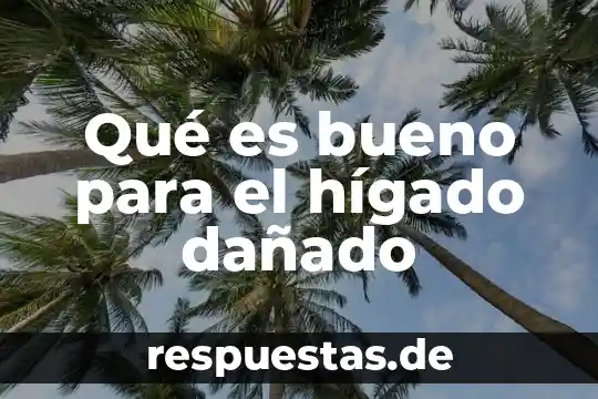 Qué es mejor para el hígado boldo o cardo mariano 3 Qué es bueno para el hígado dañado