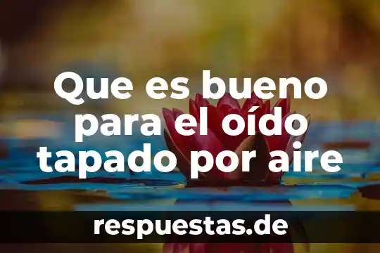 Para que es bueno la flor de tila 3 Que es bueno para el oído tapado por aire