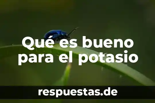 Para que es bueno el barmicil compuesto 3 Qué es bueno para el potasio