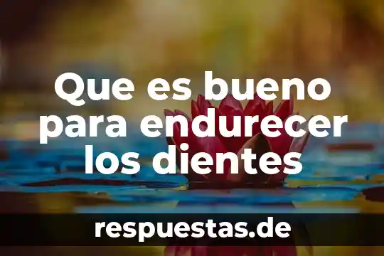 Que es bueno tomar cuando hago ejercicio en el gym 8 Que es bueno para endurecer los dientes