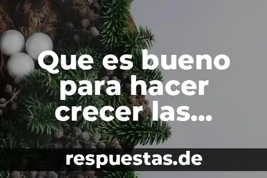 Que es bueno para hacer crecer las piernas