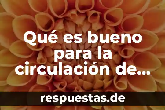 Qué es bueno para la circulación de las piernas