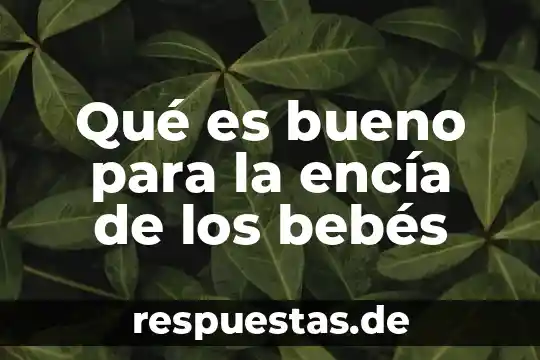 Para que es bueno cardo mariano 5 Qué es bueno para la encía de los bebés
