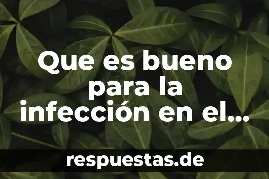Que es el significado de estomago 4 Que es bueno para la infección en el estomago