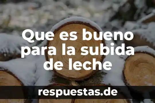 Que es bueno para la subida de leche