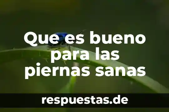 Que es bueno para las piernas sanas