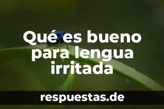 Por que es bueno ser heterosexual 5 Qu茅 es bueno para lengua irritada