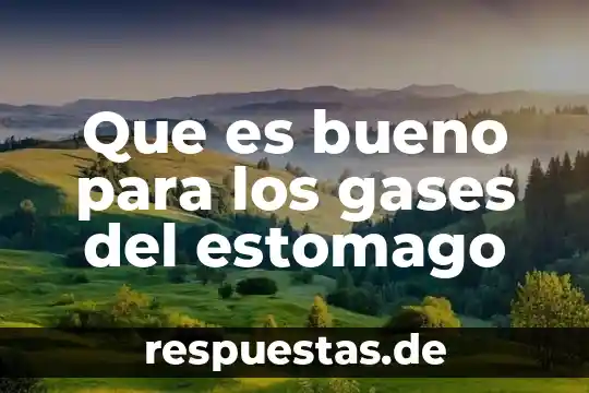 Que es el significado de estomago 6 Que es bueno para los gases del estomago