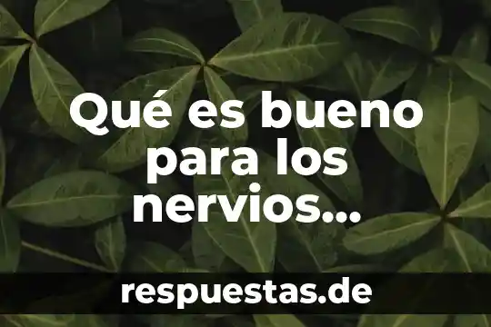 Yuca para que es bueno 8 Qué es bueno para los nervios inflamados