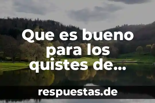 Que es bueno para los quistes de ovarios