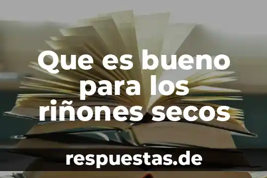 Qué es bueno para los nervios inflamados 8 Que es bueno para los riñones secos