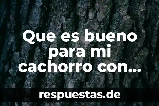 Qué es mejor para la gripe amantadina o clofenamina 6 Que es bueno para mi cachorro con congestión y gripe