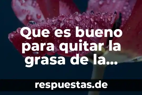 Que es bueno para quitar la grasa de la cara