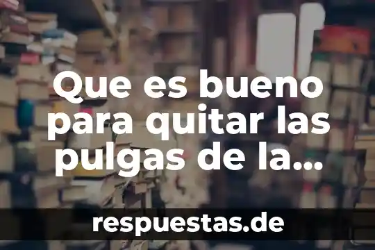 Que es bueno para quitar las pulgas de la casa
